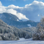 Winterlandschaft-Mooshuben_Hans-Mayer