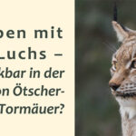 Einladung_Luchs_BOKU-Ötscher-Basis