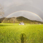 Bild der Woche: Regenschirmschatten unterm Regenbogen