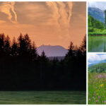 Bilder der Woche: Sonnenuntergang, Stausee und Blumenwiese