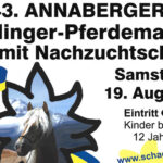 Termintipp: 43. Haflingermarkt in Annaberg/Joachimsberg