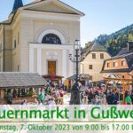 Bauernmarkt-in-Gußwerk