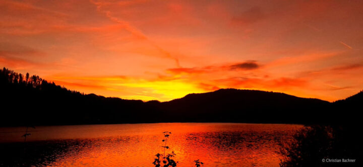 Bild der Woche: Morgenrot am Erlaufsee ©Christian Bachner