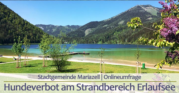 Online Umfrage: Generelles Hundeverbot im Strand- und Liegebereich am Erlaufsee