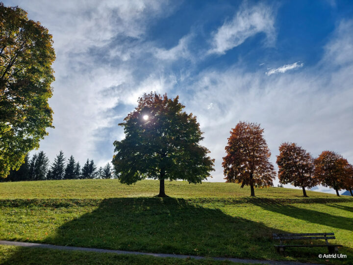 Bilder der Woche: Herbst in Mariazell - Schön, wie nirgends sonst (Astrid Ulm)