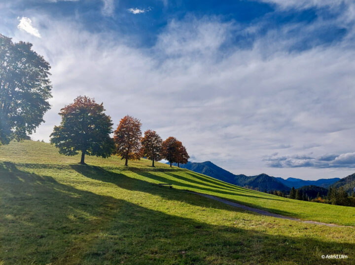 Bilder der Woche: Herbst in Mariazell - Schön, wie nirgends sonst (Astrid Ulm)