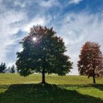 Mariazell-Herbst_Astrid-Ulm_20231021_Titel