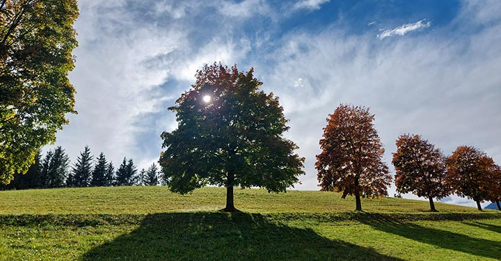 Bilder der Woche: Herbst in Mariazell - Schön, wie nirgends sonst (Astrid Ulm)