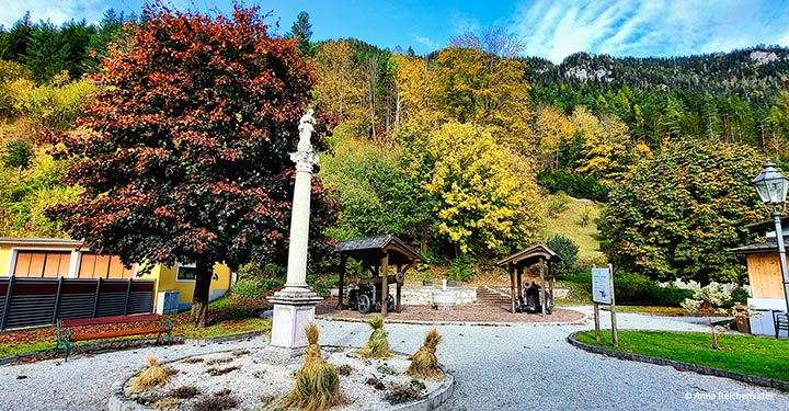 Bild der Woche: Herbst im Kanonenpark in Gußwerk ©Anna Reichenvater