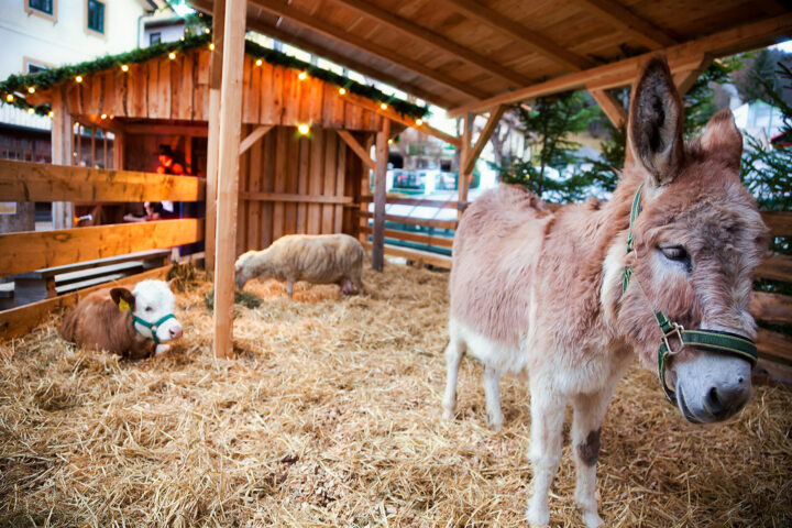 Lebendige Krippe beim Mariazeller Advent