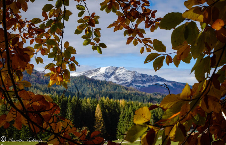 Bild der Woche: Ötscher im Herbstblätterrahmen ©Martin Voitech