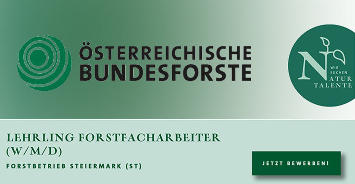 Stellenausschreibung: LEHRLING FORSTFACHARBEITER (W/M/D) | Forstbetrieb Steiermark