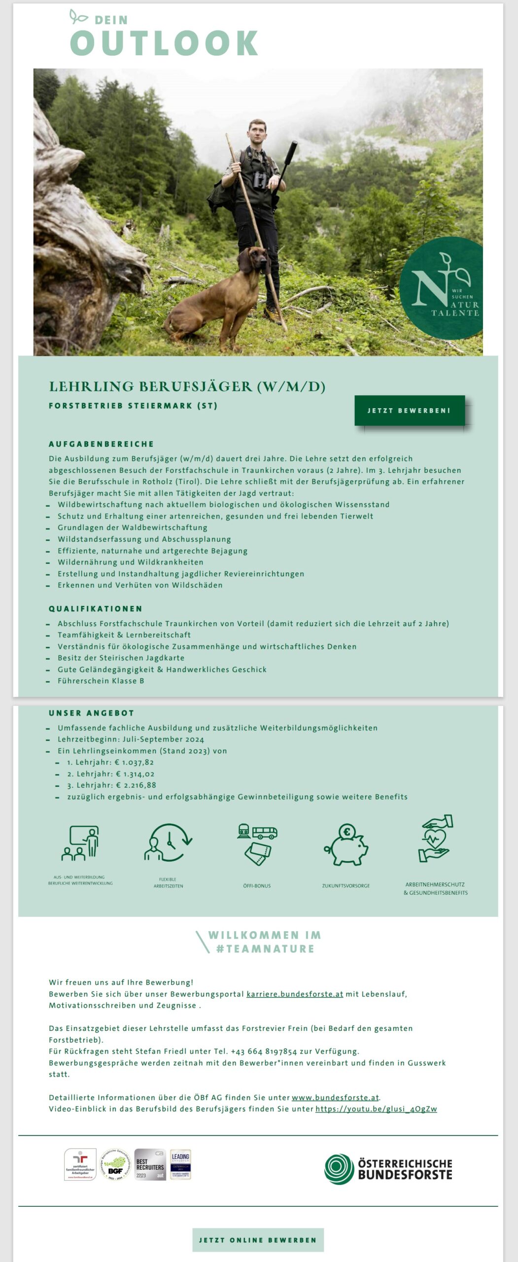 Stellenausschreibung: LEHRLING BERUFSJÄGER (W/M/D) | Forstbetrieb Steiermark