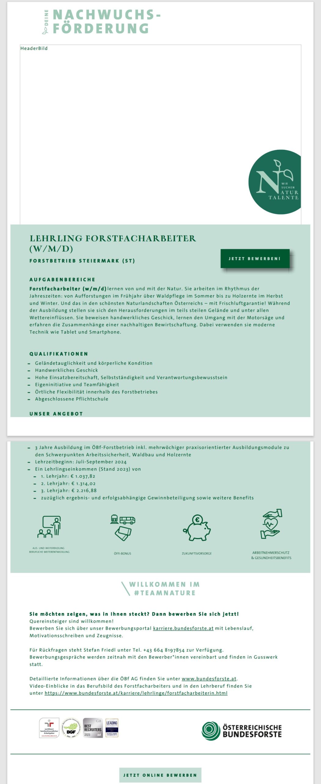 Stellenausschreibung: LEHRLING FORSTFACHARBEITER (W/M/D) | Forstbetrieb Steiermark