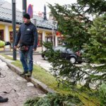 Weihnachtsbaum-steht-wieder_Foto-Kuss